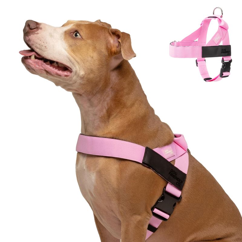 Arn&eacute;s Para Perro Dog Friendly Co &ndash; Peque&ntilde;o, Ros... image number null