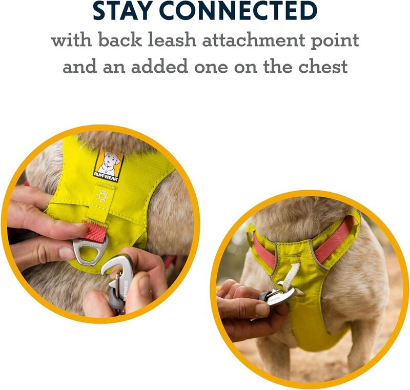 Arn&eacute;s Para Perro Ruffwear Hi & Light Talla Pequ... image number null