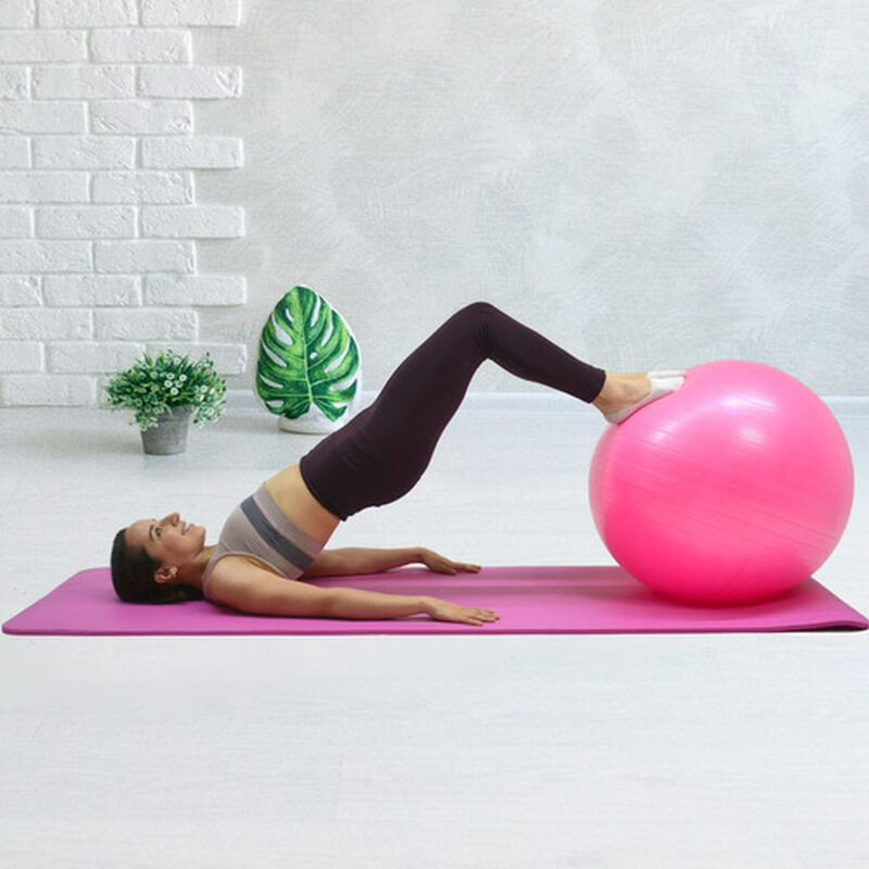 Pelota Pilates Yoga Rosa 60 Cm Fitness + Bomba ... image number null