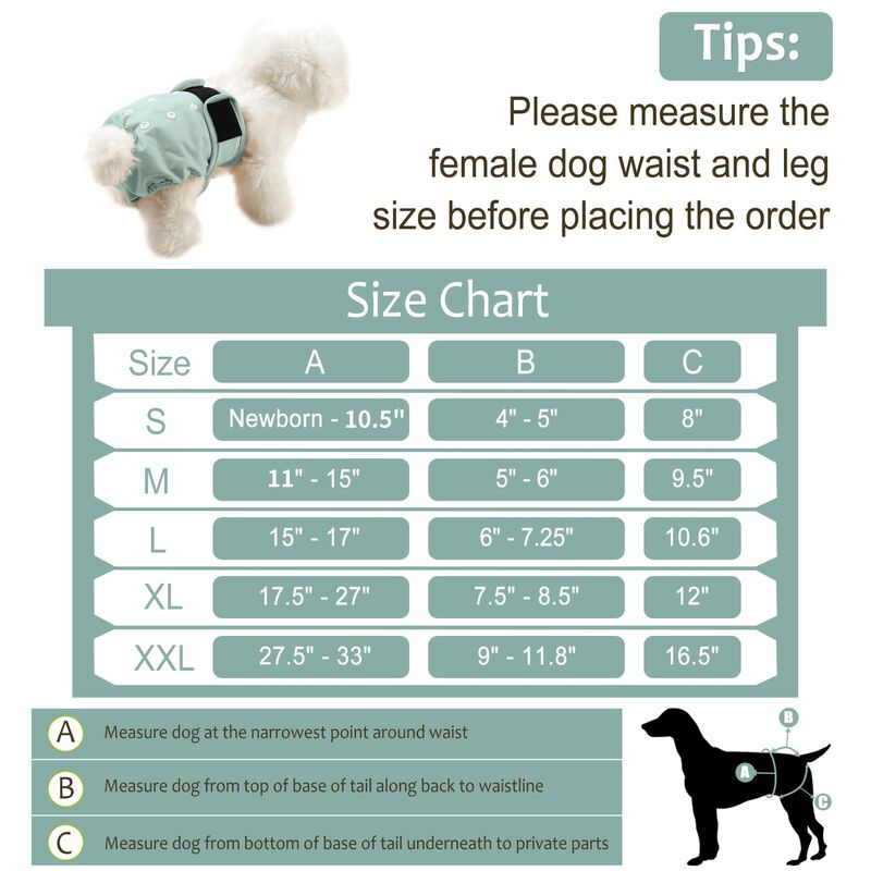 Pa&ntilde;ales Para Perros Grecle 5 Unidades Para Hemb... image number null