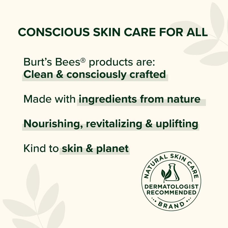 B&aacute;lsamo Labial Burt's Bees Original Beeswax Con... image number null