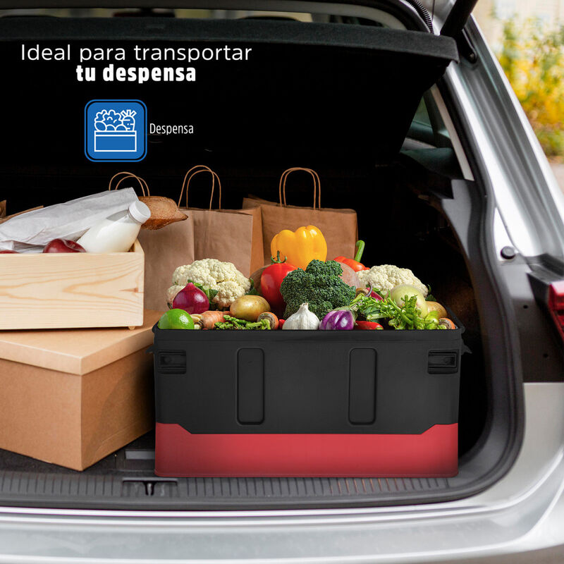 Caja Almacenamiento Plegable Rojo con Negro image number null