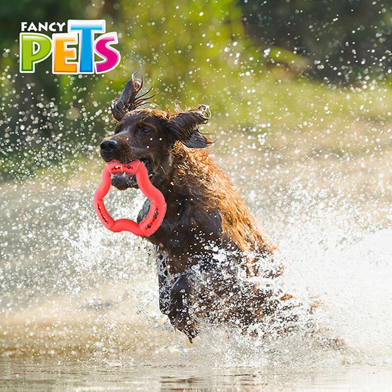 Fancy Pets Juguete Chew Eslabón Masticable para... image number null