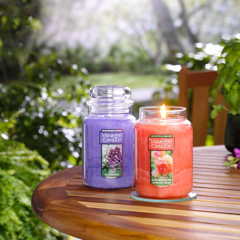 Vela Yankee Candle Albaricoque Y Rosa Al Sol image number null