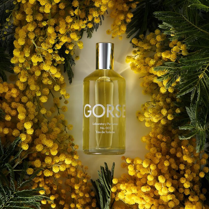Eau De Toilette Laboratory Perfumes Gorse 100ml image number null