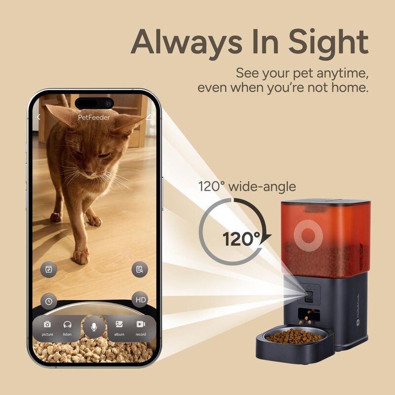 Alimentador Autom&aacute;tico Para Gatos Molly&cody 6 ... image number null