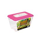 Lomas Mascotera Grandepara Pequeñas Especies con Ranuras de Ventilación Varios Colores