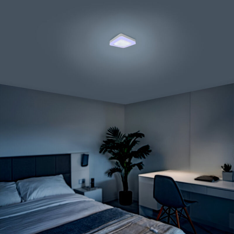 L&aacute;mpara de techo Mil Luces COLUMBIA 002 image number null