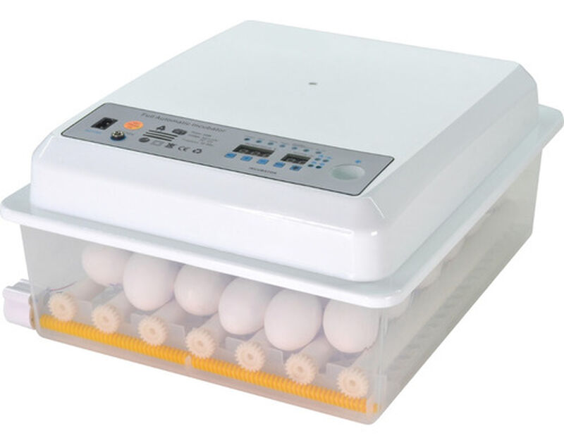 Incubadora Automática 36 Huevos Aves Pollos + O... image number null