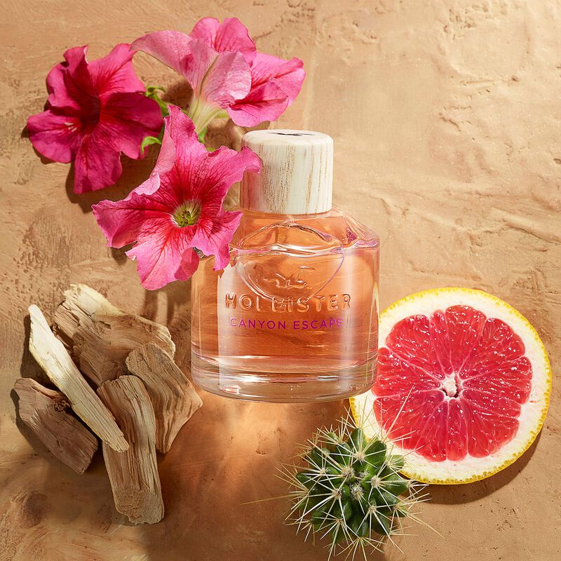 Perfume Hollister Canyon Escape Edp 100 Ml Para... image number null