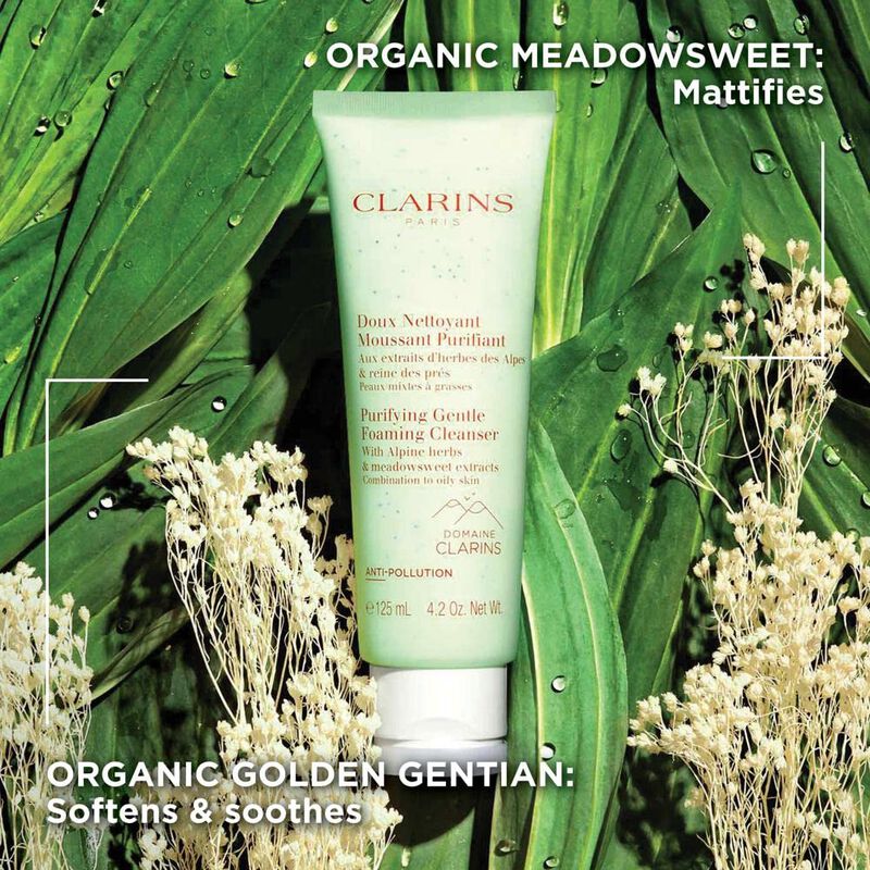 Cleanser Clarins, F&oacute;rmula Purificante, Suave Y ... image number null