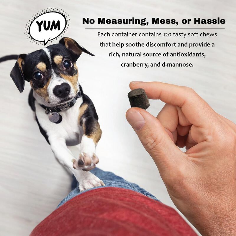 Suplemento Para Mascotas Pet Health Solutions 1... image number null