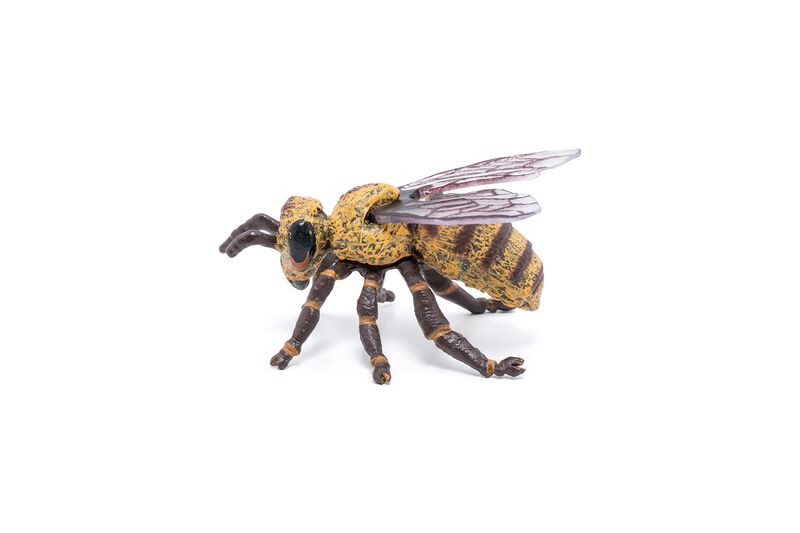 Figura De Papo Wild Animal Kingdom Bee 50256, C... image number null