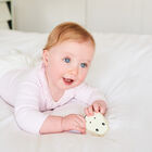 Set Inicial Mordederas Jirafa