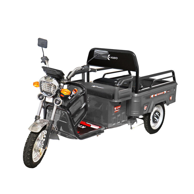 Triciclo de Carga El&eacute;ctrico, Kiwo color Gris image number null