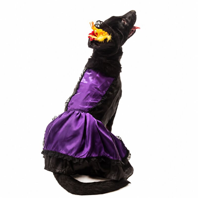Disfraz Catrina Halloween Perro Mascota Talla 5... image number null