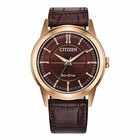 Reloj Citizen Dress Classic Rolan 62109