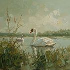 Cuadro Decorativo Animal 60x80cm Cisne