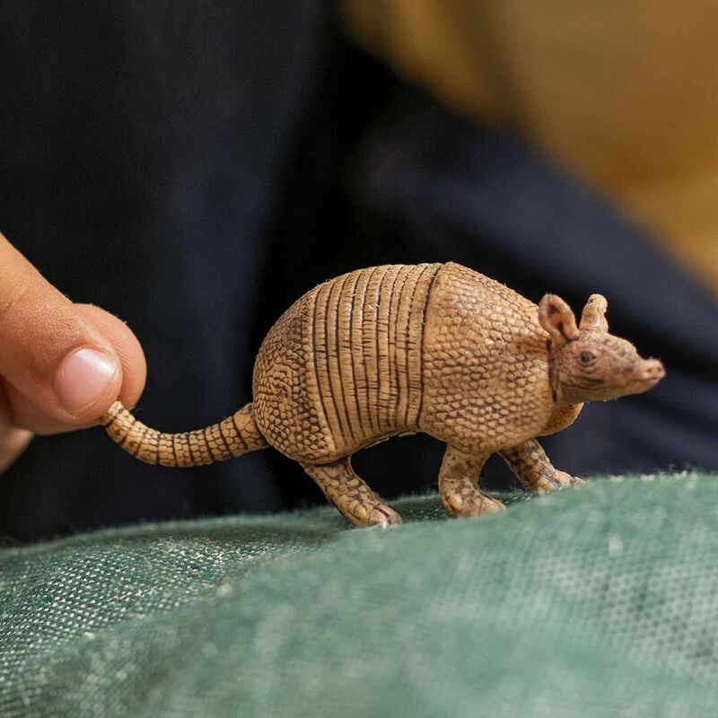 Figura De Juguete Schleich Wild Life Armadillo ... image number null