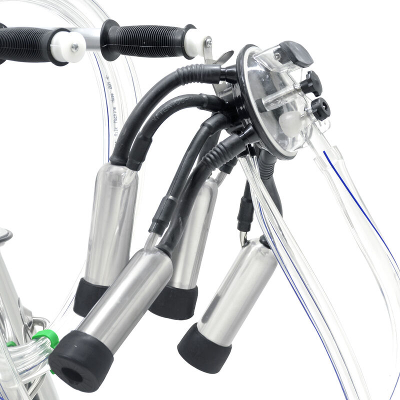 M&aacute;quina Orde&ntilde;adora De Leche 5 A 8 Vacas 80 L X ... image number null