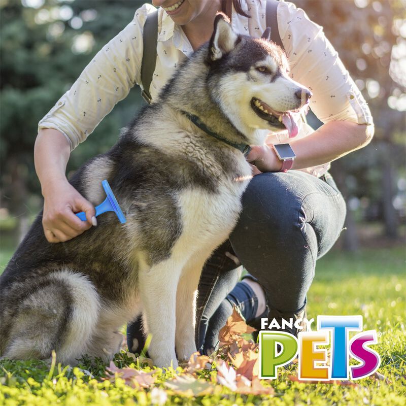 Fancy Pets Deslanador Recto Fijo para Perro Tam... image number null