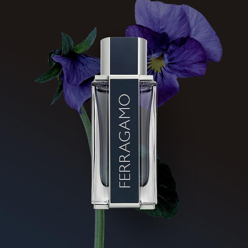 Perfume Ferragamo Eau De Toilette Pour Homme 10... image number null