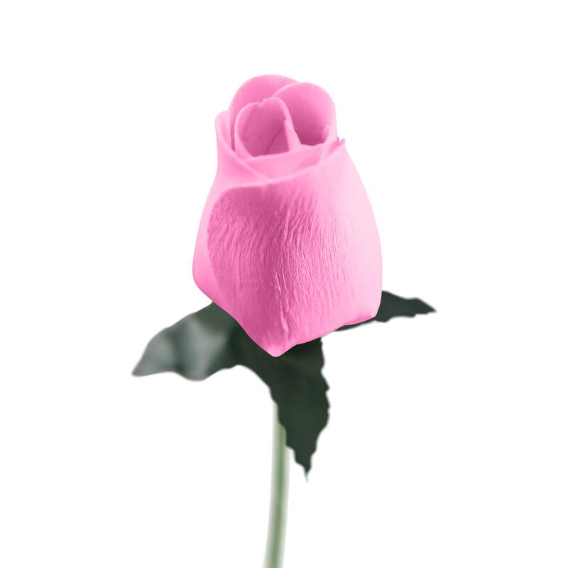 Rosas De Madera Rosa De South Beach Crafts 33 c... image number null