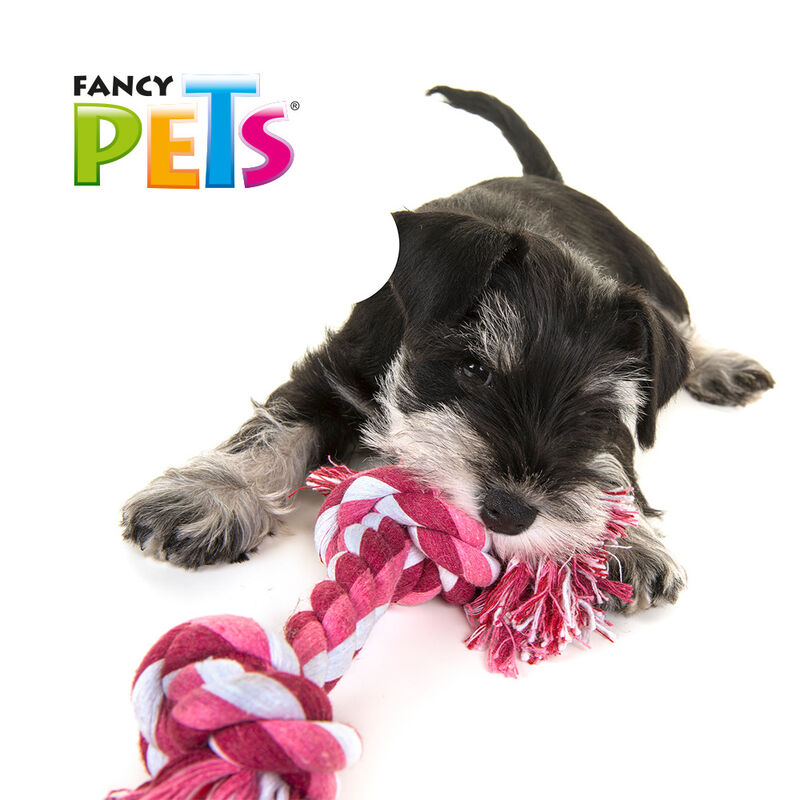 Fancy Pets Juguete Mordedor Hueso de Hilo para ... image number null