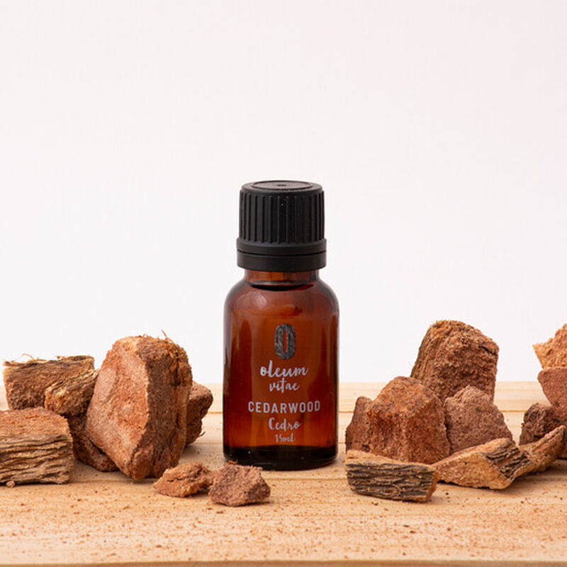 Aceite Esencial Puro Cedro 15 ml 100% Puro y Or... image number null