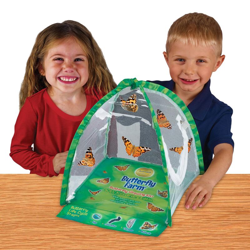 Kit De Mariposas Butterfly Farm Insect Lore Con... image number null