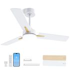 Ventilador De Techo Lanmel De 107 cm, Perfil Bajo, Con Control Remoto Y App