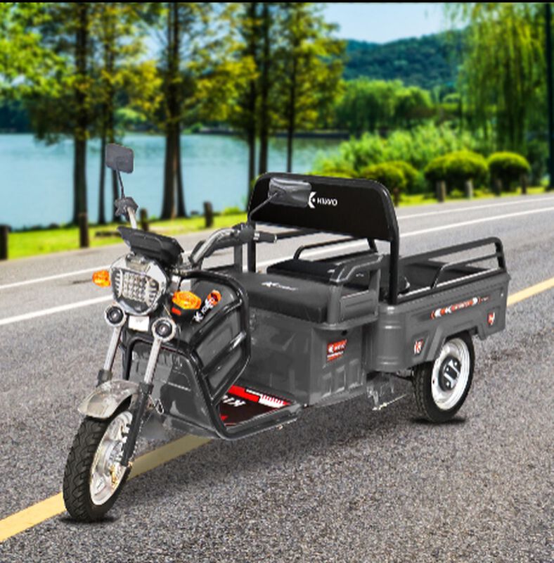 Triciclo de Carga El&eacute;ctrico, Kiwo color Gris image number null