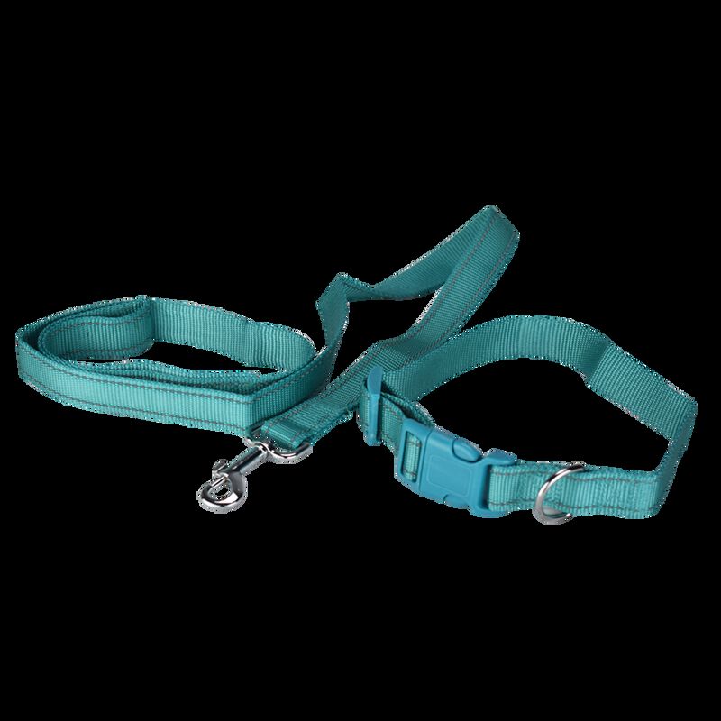 Fancy Pets Correa Con Collar De Nylon Para Perr... image number null