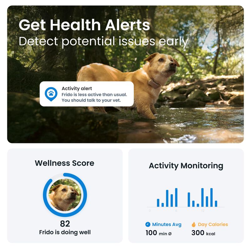 Rastreador Gps Para Perros Tractive 2025, Versi... image number null