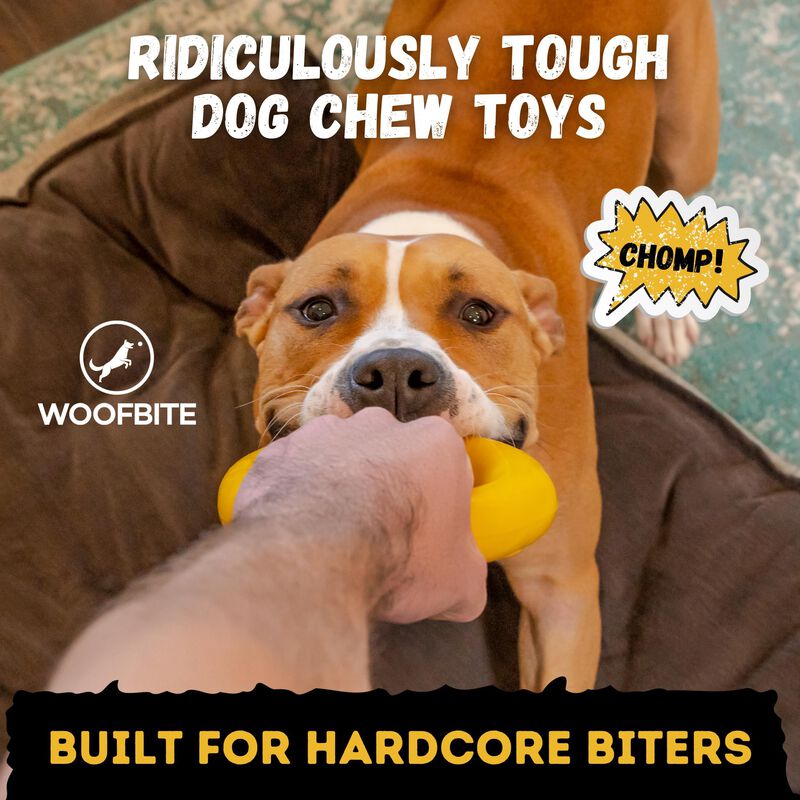 Juguete De Masticar Para Perro Woofbite 17 cm A... image number null