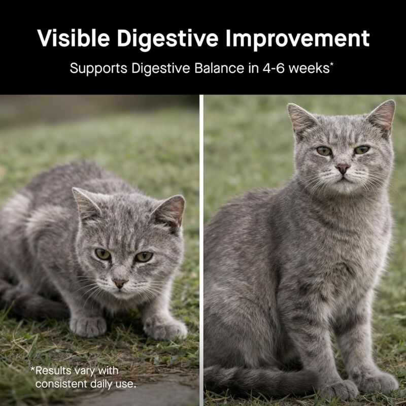 Probi&oacute;ticos Para Gato Koby 60 Porciones Org&aacute;nic... image number null
