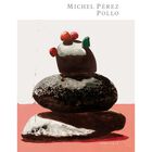 Michel P&eacute;rez Pollo: 2008-2014