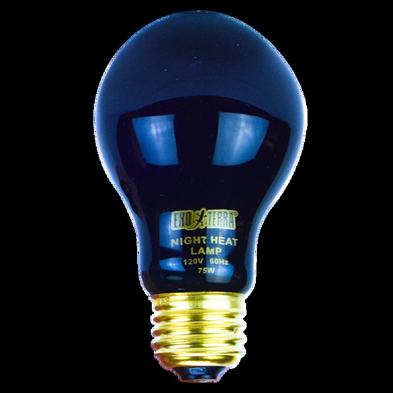 Hagen Foco Night Glo Exo-Terra 75 W image number null