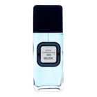 Perfume Royal Copenhagen Musk Cologne 100 Ml