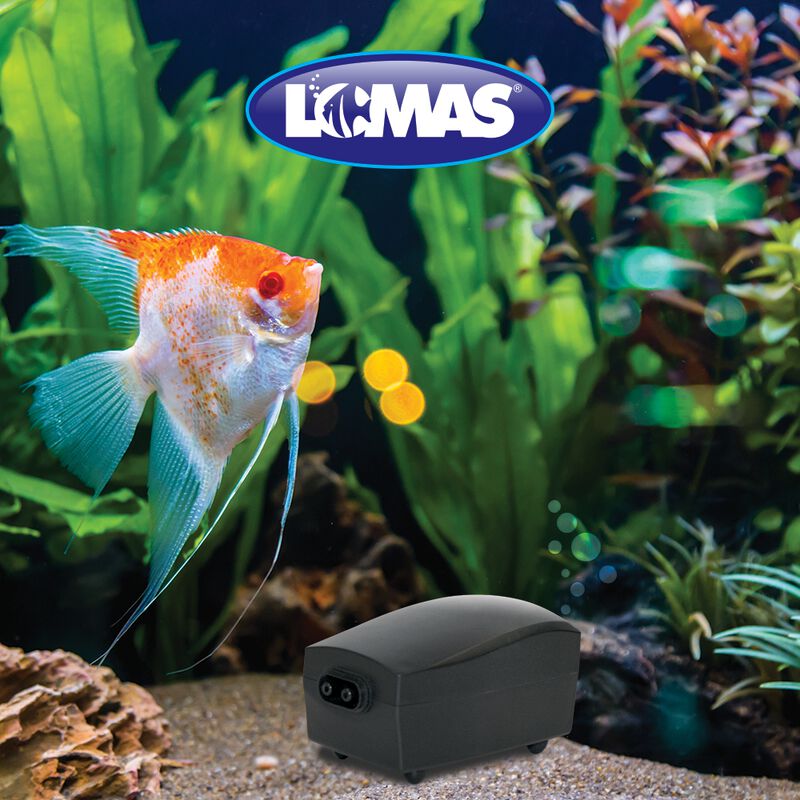 Lomas Aqua Jet 202 Bomba De Aire De 15 Galones ... image number null