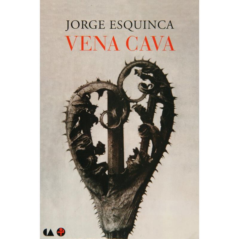 Vena cava image number null