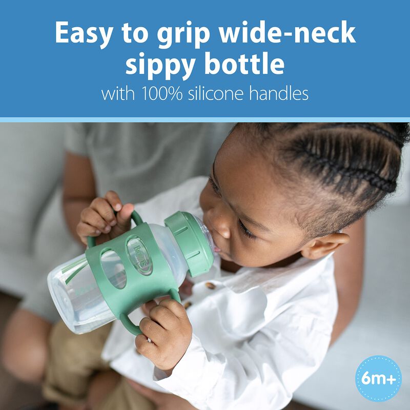 Botella Sippy Spout Dr. Brown's Milestones, 270... image number null
