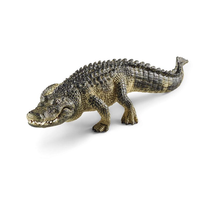 Animal Toys Schleich Wild Life North American W... image number null