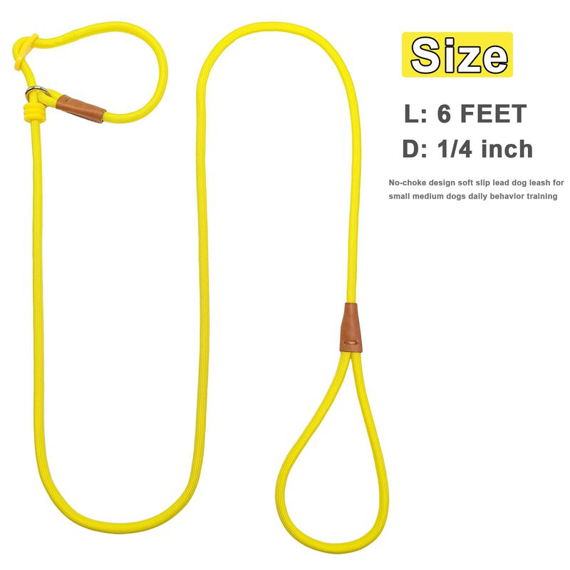 Correa Boswany 1,8 m 0,6 cm Entrenamiento Slip ... image number null