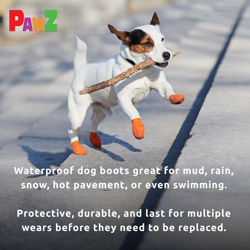 Botas Para Perros Protex Pawz Rubber All-weathe... image number null