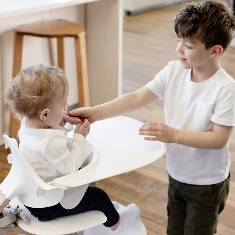 Set De Desarrollo Oral Rosa N&oacute;rdico image number null