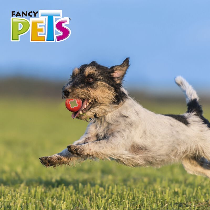 Fancy Pets Xtreme Juguete Bola para Perro Tamañ... image number null