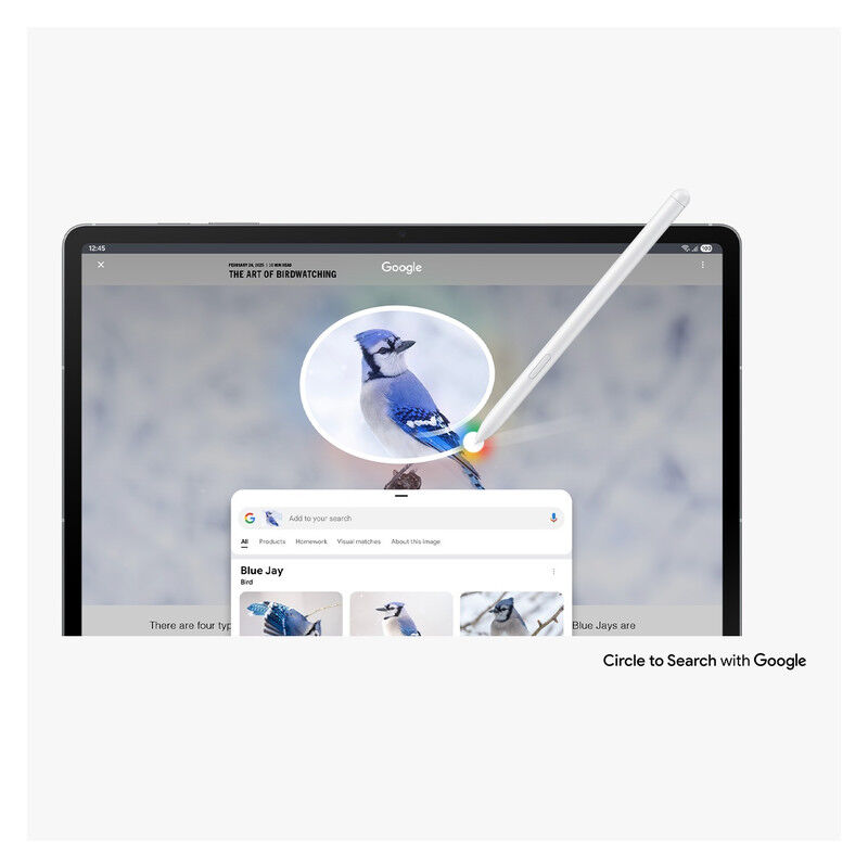 Samsung Galaxy Tab S10 FE+ Gris Plata 256GB image number null