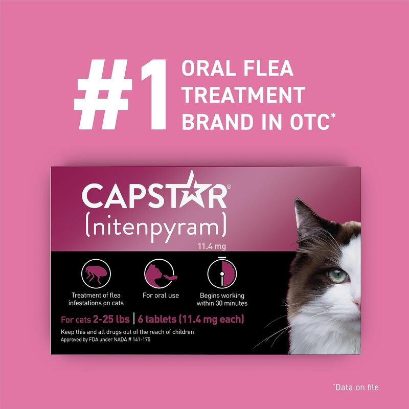 Tratamiento Oral Contra Pulgas Capstar Para Gat... image number null