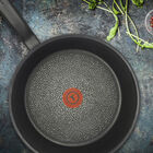 Sartén Hard Titanium 20 cm T- fal